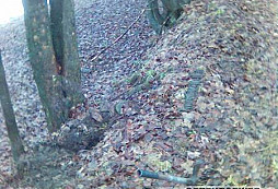 Sezóna začíná dobře