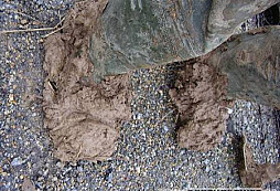 Pole ukázalo příjemnější tvář