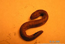 Nálezy z Pekelných dolů