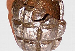 Když se vojáci nudí