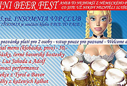 MINI BEER FEST - klub INSOMNIA