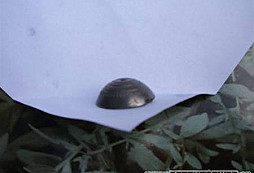 Prosba o identifikaci