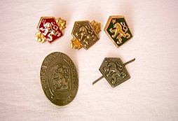 Nálezy ze zahrady a kůlny