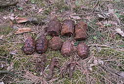 Pár nálezů od Gmax