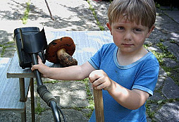 Nález od Havrana juniora