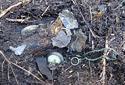 Poslušně hlásím... Cibule z lágru