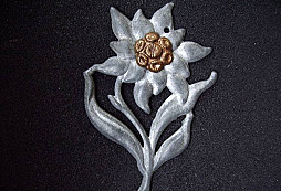 Moje soukromá sbírka