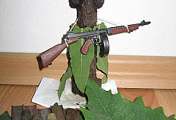 Středeční hledání