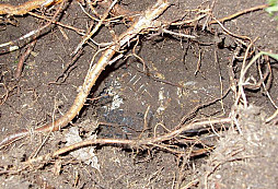 Nález bez komentáře, aneb vypečená sobota