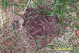 Snoopy a Rendy opět úřadovali