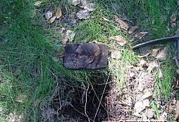 Plaketa od Waldganga