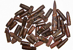 Něco málo z okolních lesů