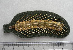 Neznáma nášivka…