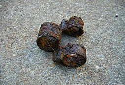 Procházka o dovolené