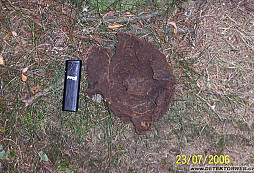 Snoopyho a Rendyho neplánovaný mrcas