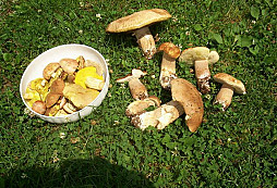 Nečekaný úlovek a jak to s ním dopadlo