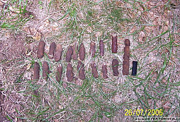 Snoopyho a Rendyho polední přestávka