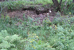 Pochůzka po mém rajónu