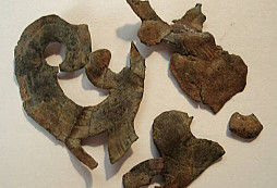 Tonoucí se stébla chytá