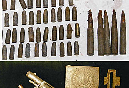 Bulldog po vyčištění a neznámý předmět