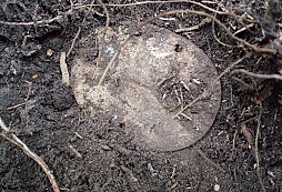 Jak se rodí známka s 98k