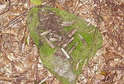 Sovietove a Bocianove hľadanie č.II