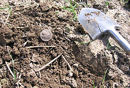 Středa - nálezů je třeba :-)