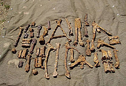 Pokračování od Jaryna