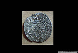 Stříbrňáček polní