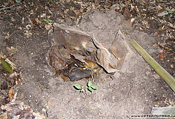 Jednou to muselo přijít