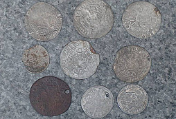 Stříbrňáky od Trutise