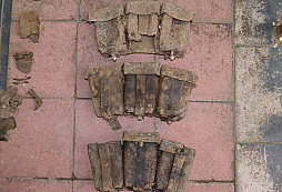 Co les vydá II. díl