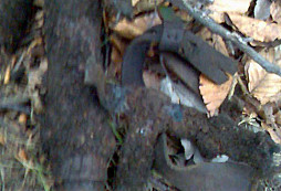 Nedělní procházka