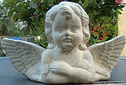 První silver po orbě