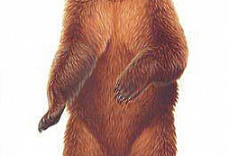 Necháme sa zožrať ?