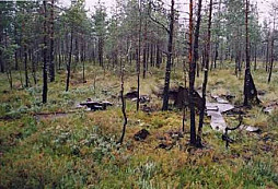 Nálezy techniky III.