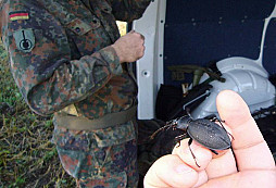 Jak jsem slíbil a něco navíc