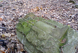 Trocha do mlejna od Nicnekopa