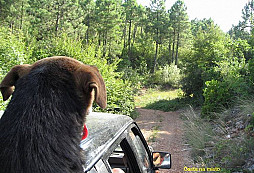 Dovolená na Jadranu II.