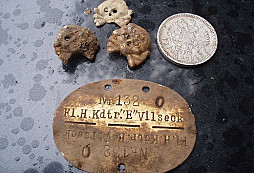 Háječek před vesnicí