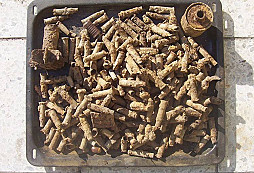 Výprava na podzimní listí