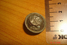 Knoflík z lesní planinky