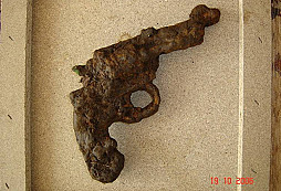 Tajemství lesní tůňky