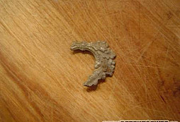 Pár věciček z pole