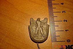 Kdo pomůže určit?