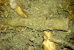 Zatím poslední nálezy