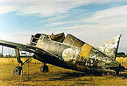 Brewster F2A Buffalo