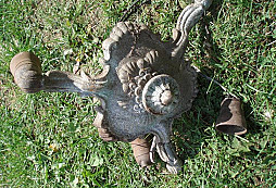 Pár věcí pro potěšení oka