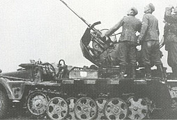 Německé polopásové obrněné transportéry