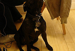 Železný kříž z půdy